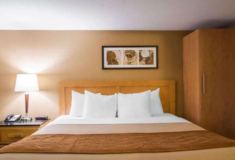 בית מלון כפרי Comfort Inn Airport East