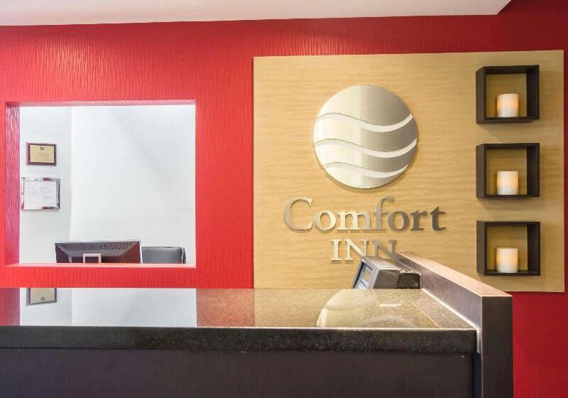 בית מלון כפרי Comfort Inn Airport East