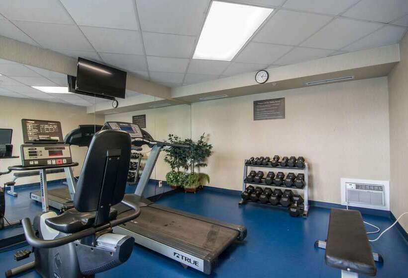 فندق Comfort Inn & Suites Airport South