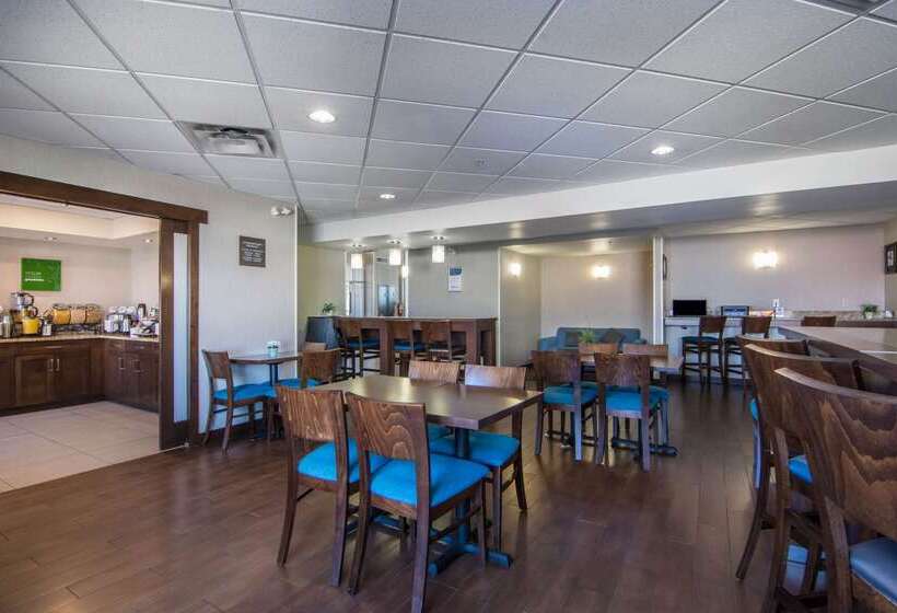 فندق Comfort Inn & Suites Airport South