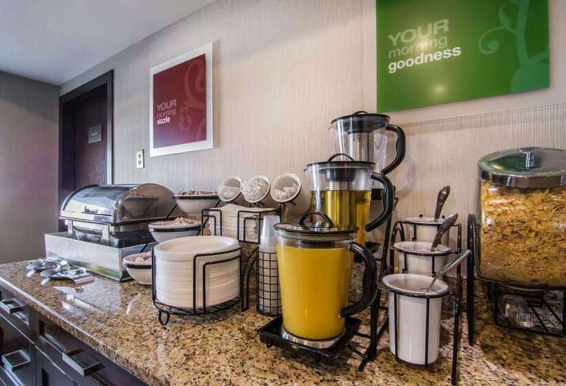 فندق Comfort Inn & Suites Airport South