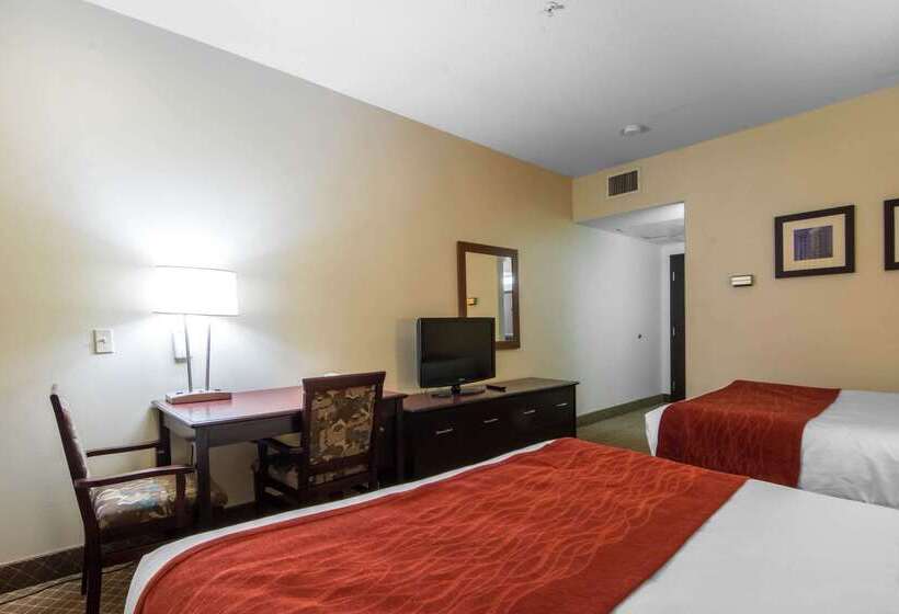 فندق Comfort Inn & Suites Airport South