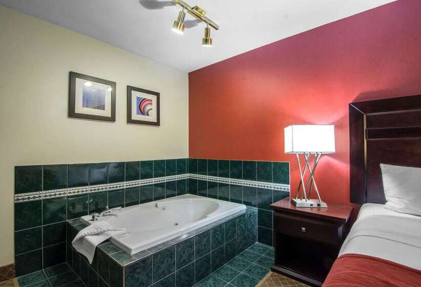 فندق Comfort Inn & Suites Airport South