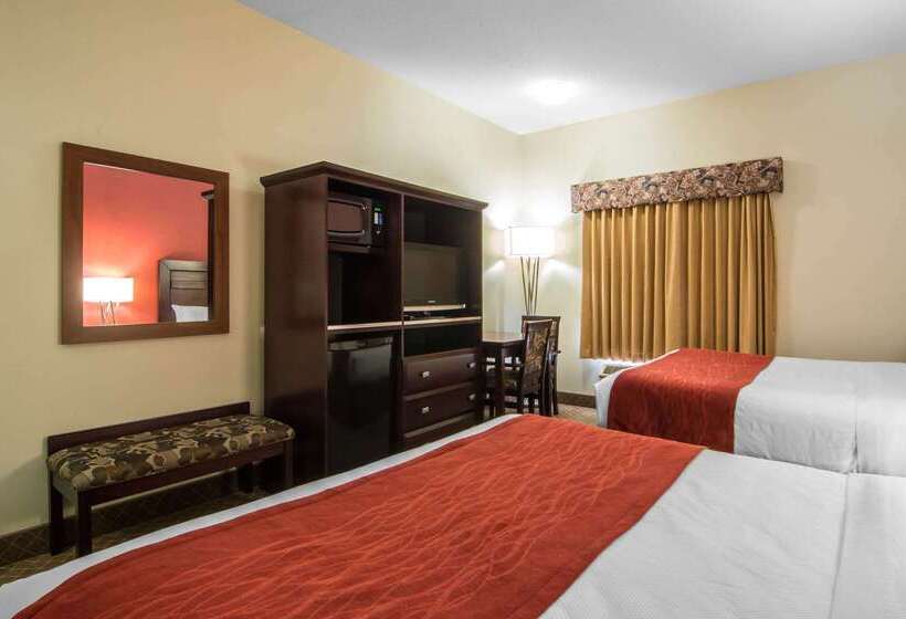 فندق Comfort Inn & Suites Airport South