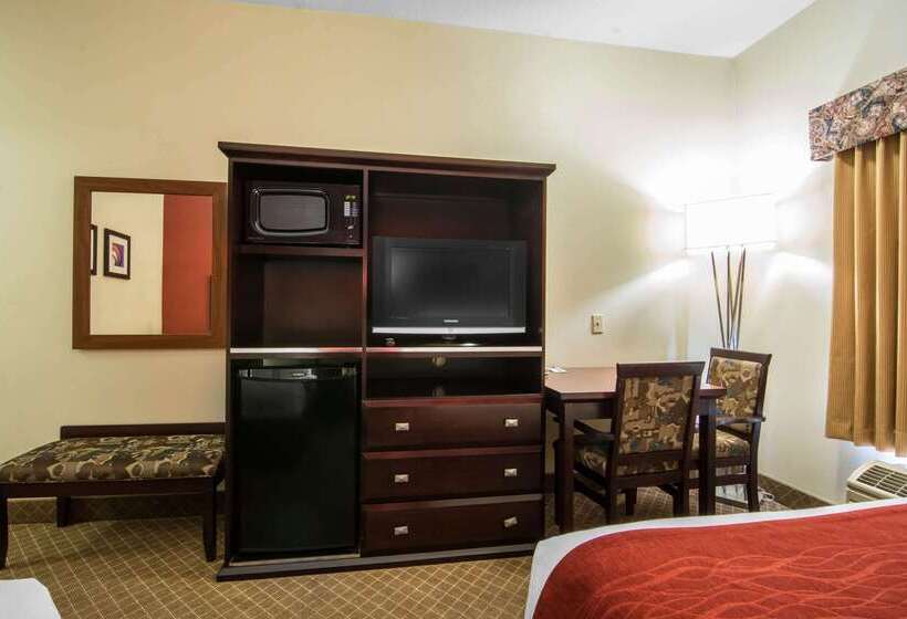 فندق Comfort Inn & Suites Airport South