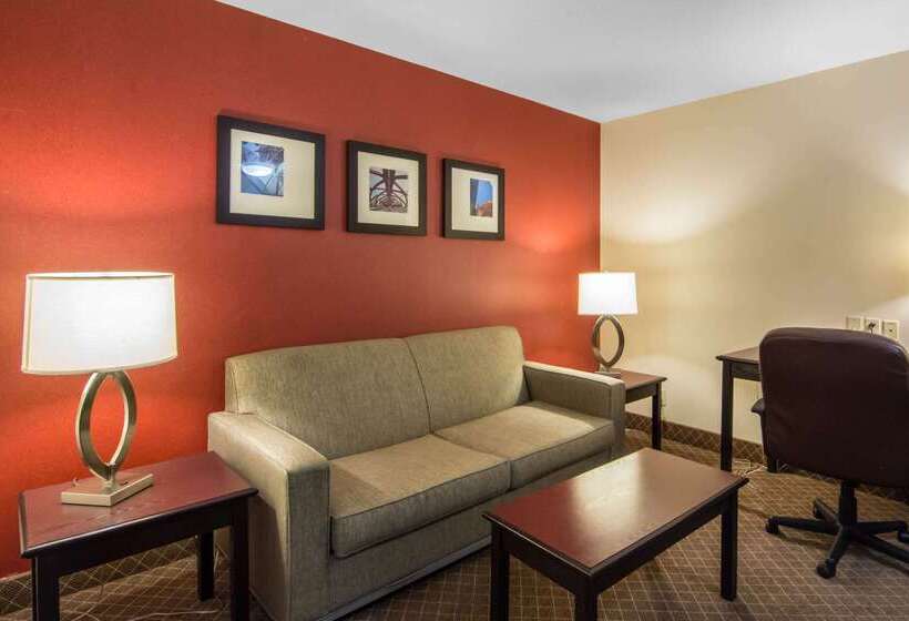 فندق Comfort Inn & Suites Airport South