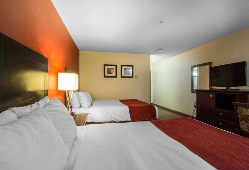 فندق Comfort Inn & Suites Airport South