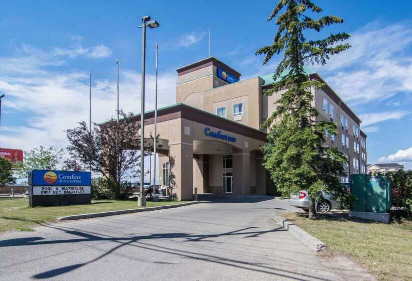 فندق Comfort Inn & Suites Airport South