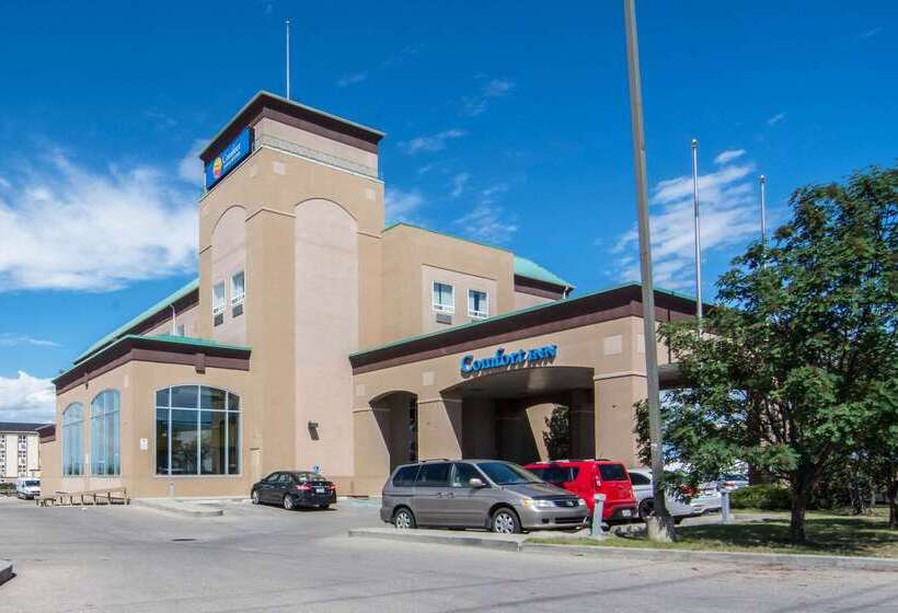 هتل Comfort Inn & Suites Airport South