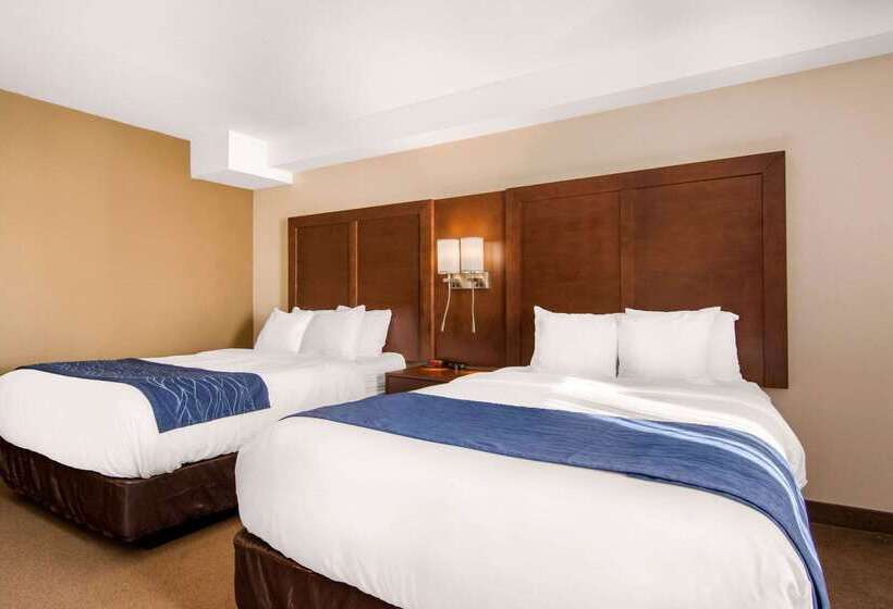 فندق Comfort Inn & Suites