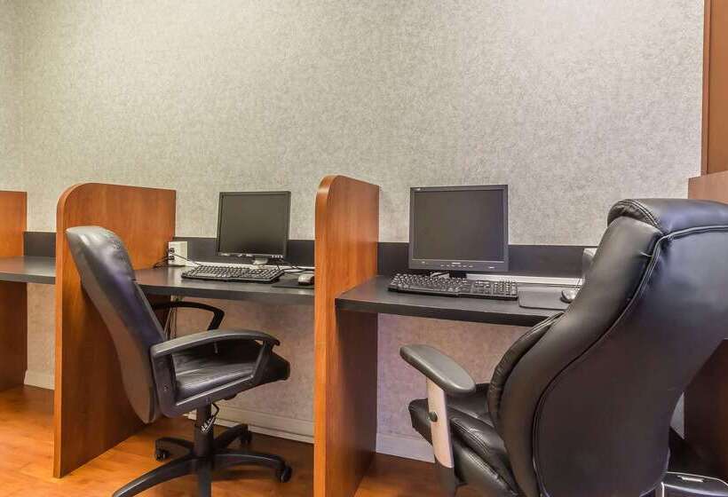 فندق Comfort Inn & Suites