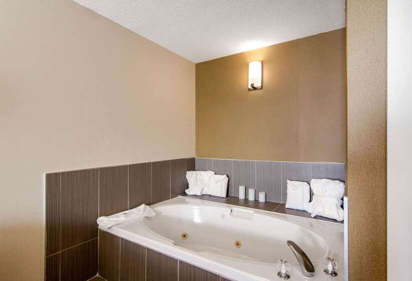 فندق Comfort Inn & Suites