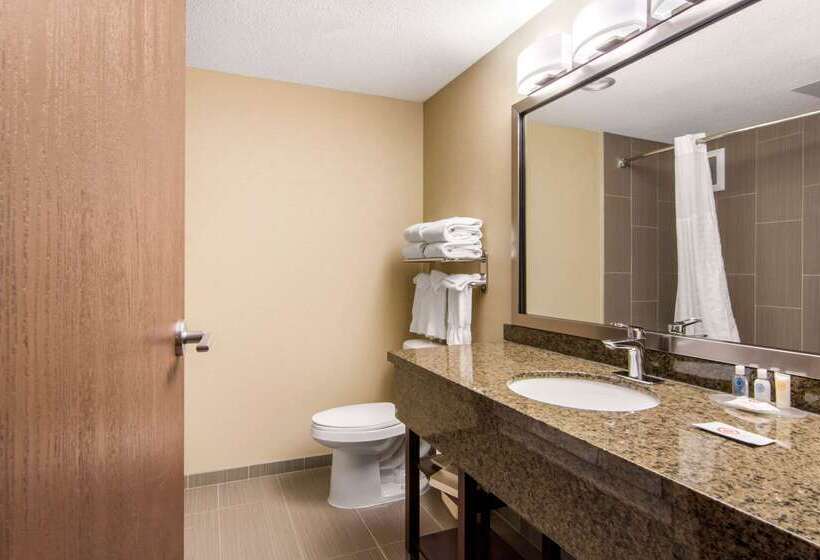 فندق Comfort Inn & Suites