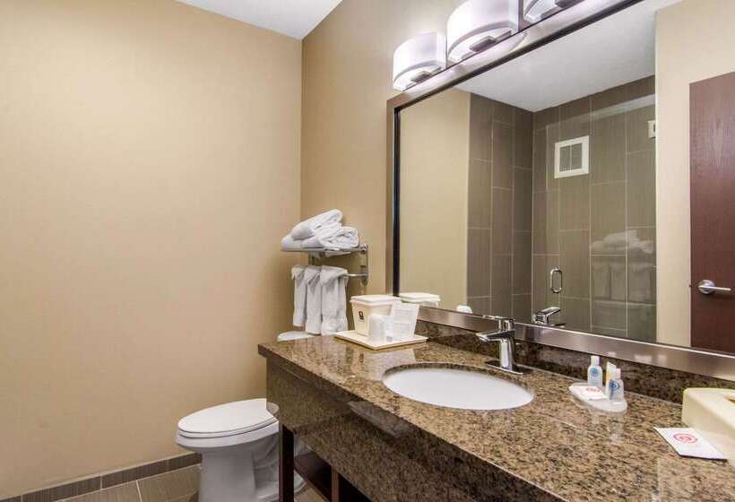 בית מלון כפרי Comfort Inn & Suites