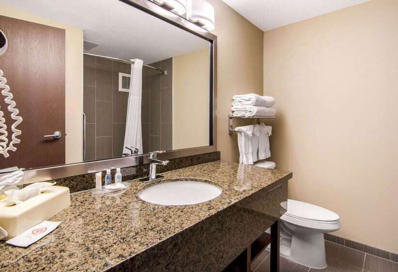 فندق Comfort Inn & Suites