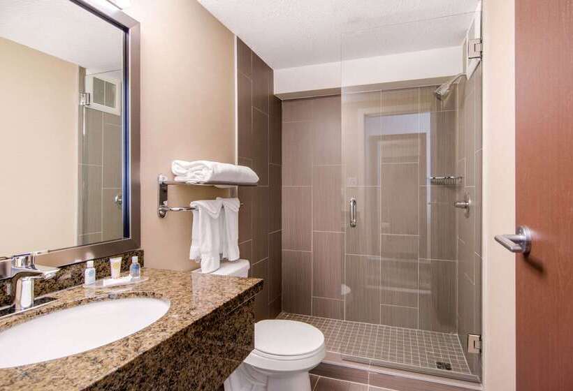 فندق Comfort Inn & Suites