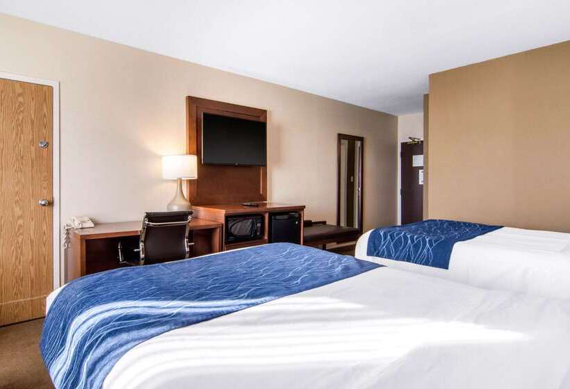 فندق Comfort Inn & Suites