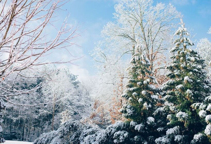 בית מלון כפרי Ax