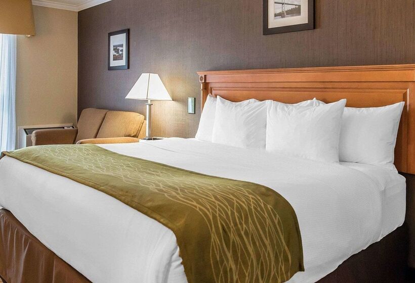 فندق Comfort Inn