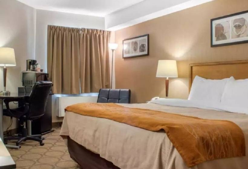 ホテル Comfort Inn