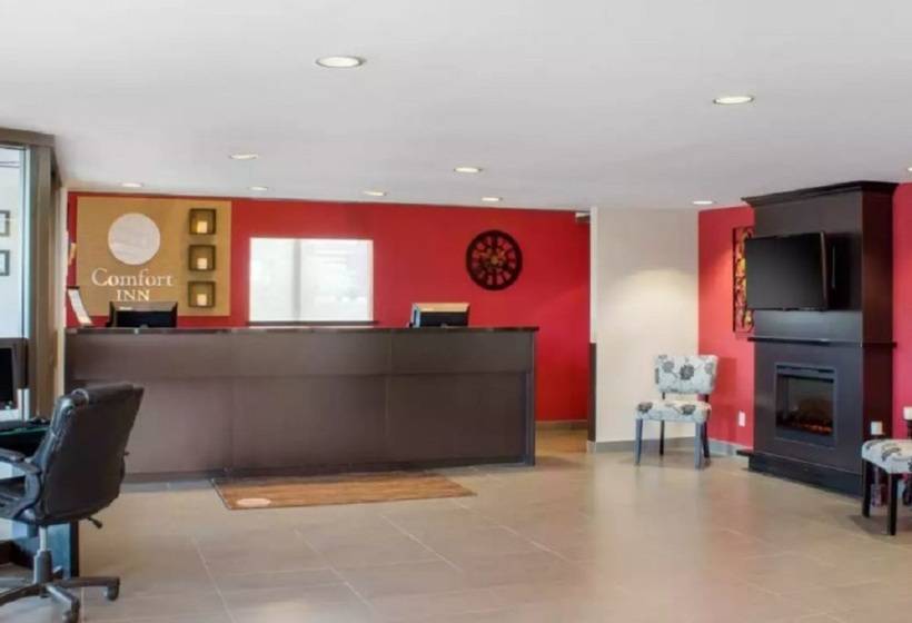 فندق Comfort Inn