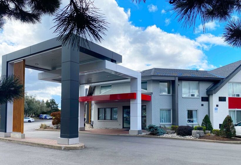 ホテル Comfort Inn