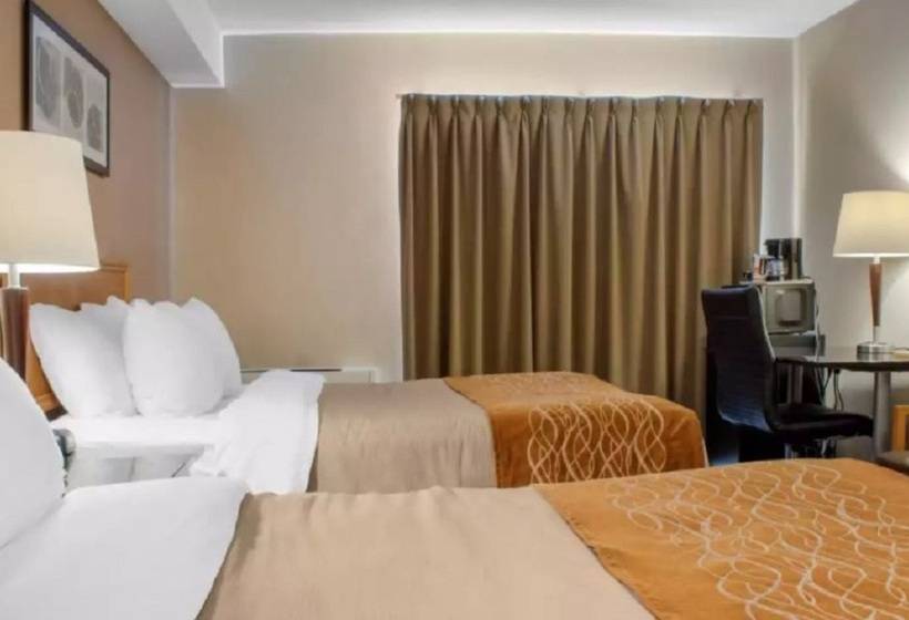 ホテル Comfort Inn