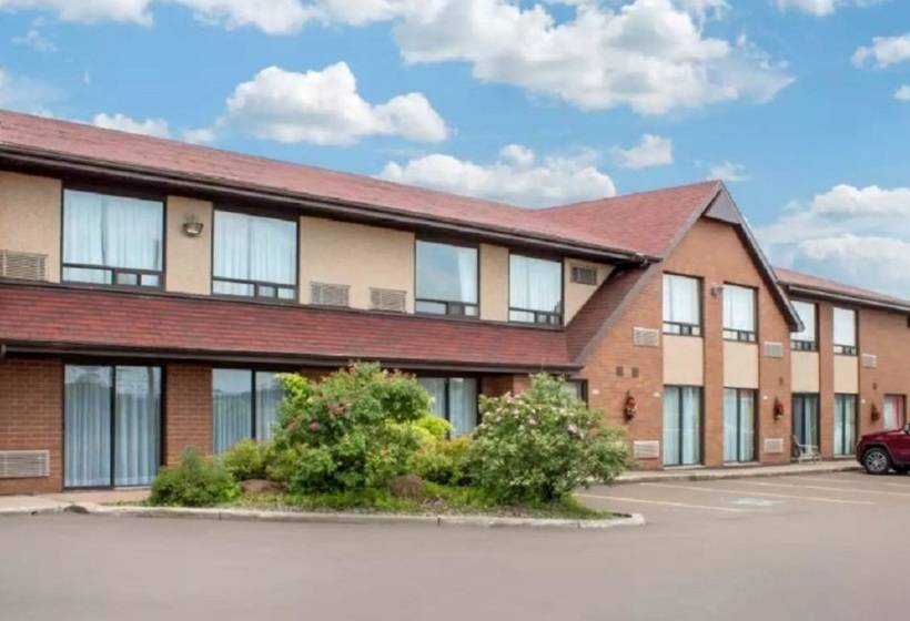 ホテル Comfort Inn