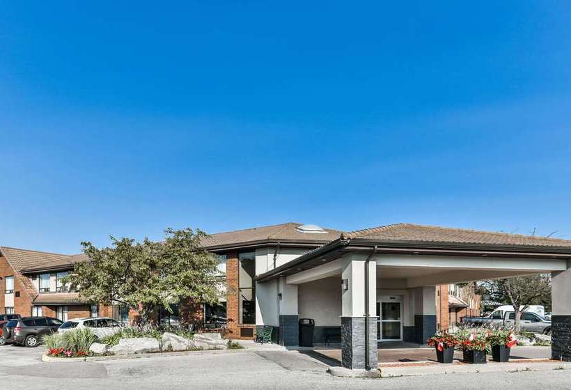 فندق Comfort Inn