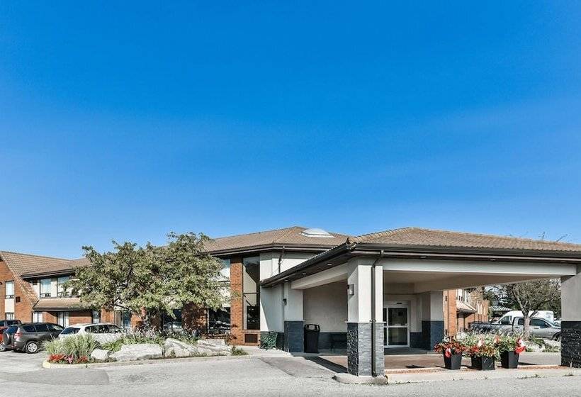 فندق Comfort Inn