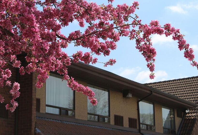 فندق Comfort Inn