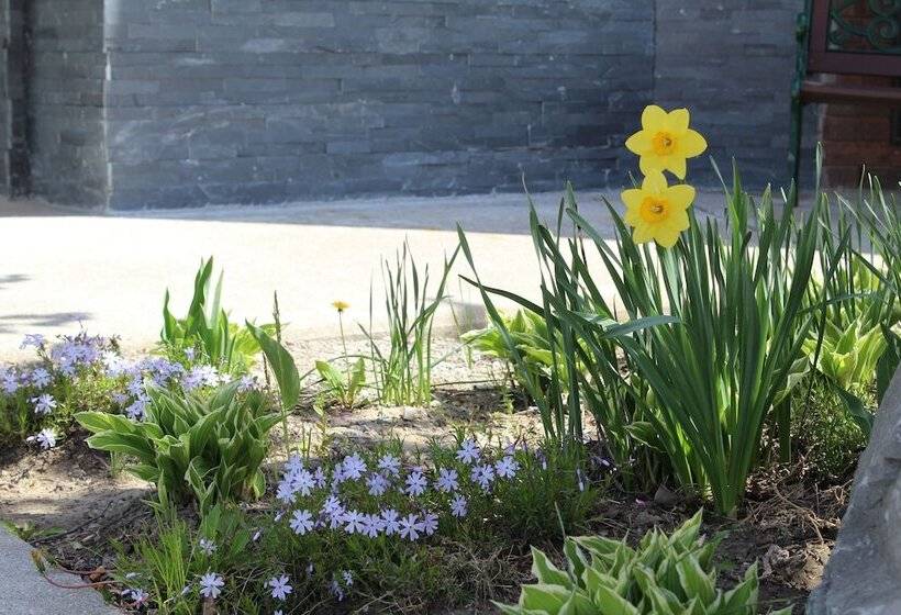 فندق Comfort Inn