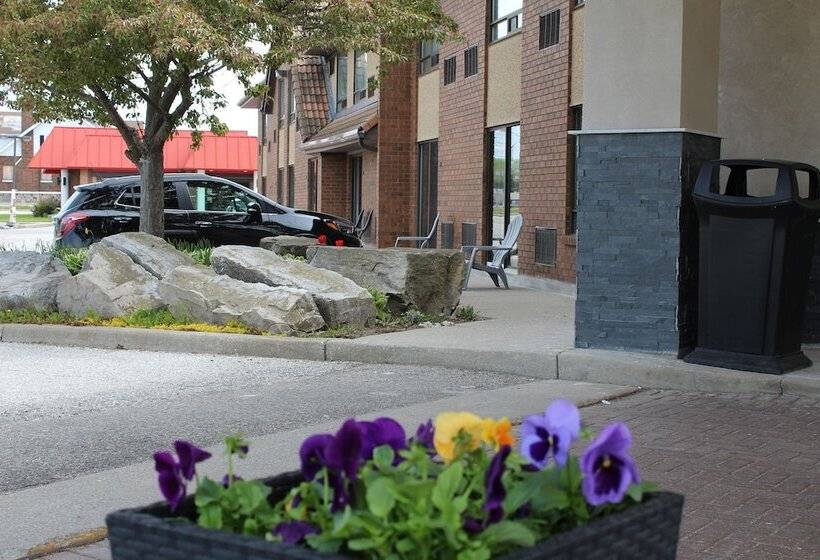 فندق Comfort Inn