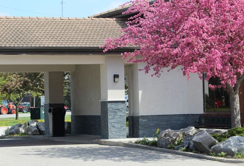 فندق Comfort Inn