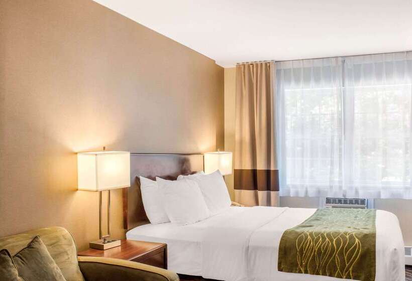 Отель Comfort Inn