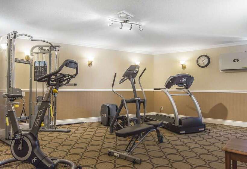 فندق Comfort Inn