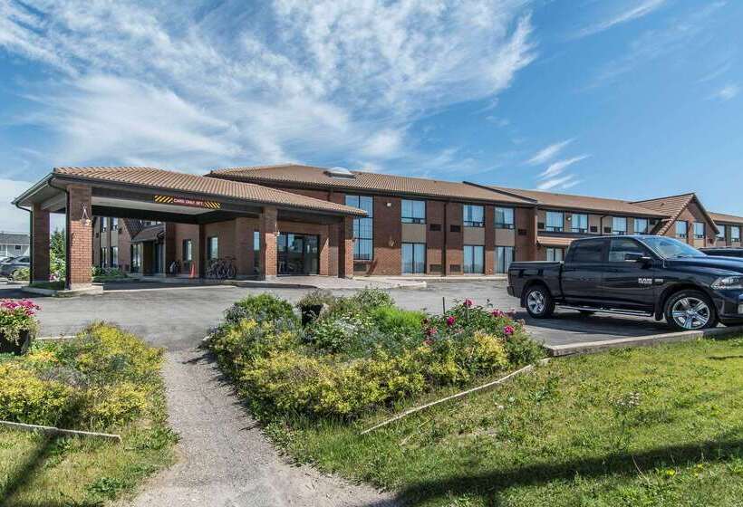 فندق Comfort Inn