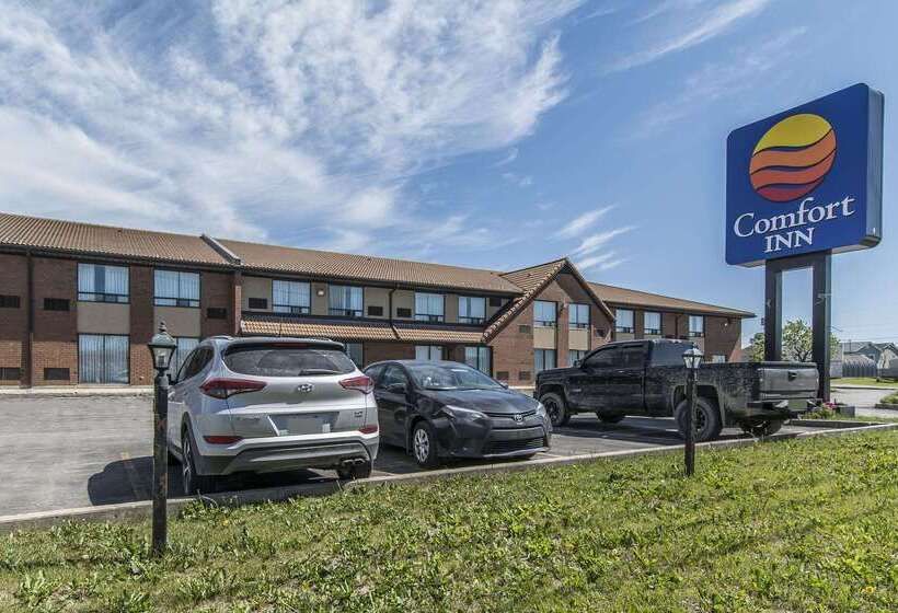 فندق Comfort Inn