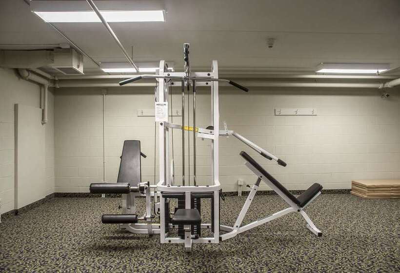 هتل Comfort Inn Lundy S Lane