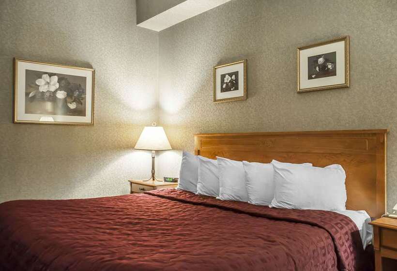 هتل Comfort Inn Lundy S Lane