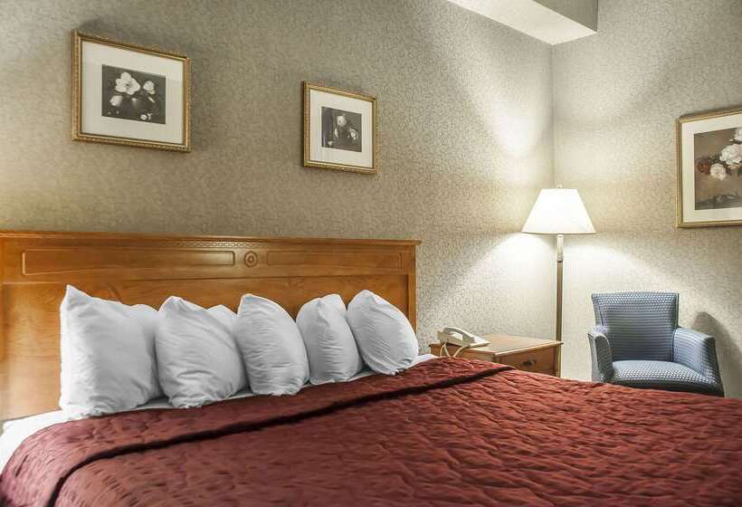 هتل Comfort Inn Lundy S Lane