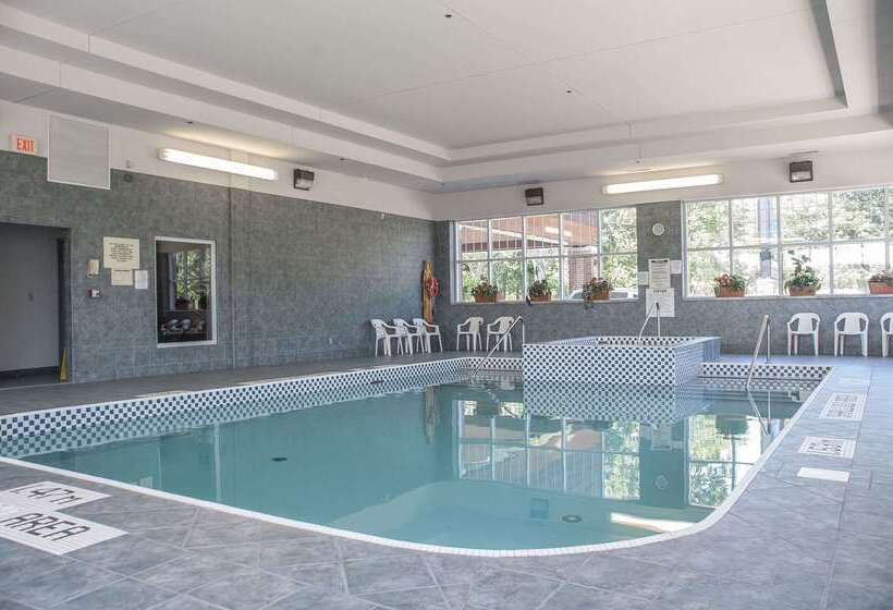 هتل Comfort Inn Lundy S Lane