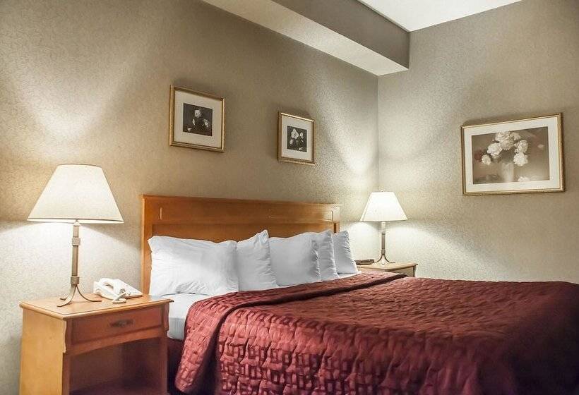هتل Comfort Inn Lundy S Lane