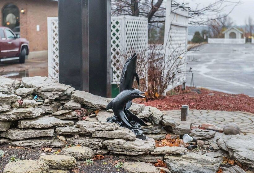 فندق Comfort Inn