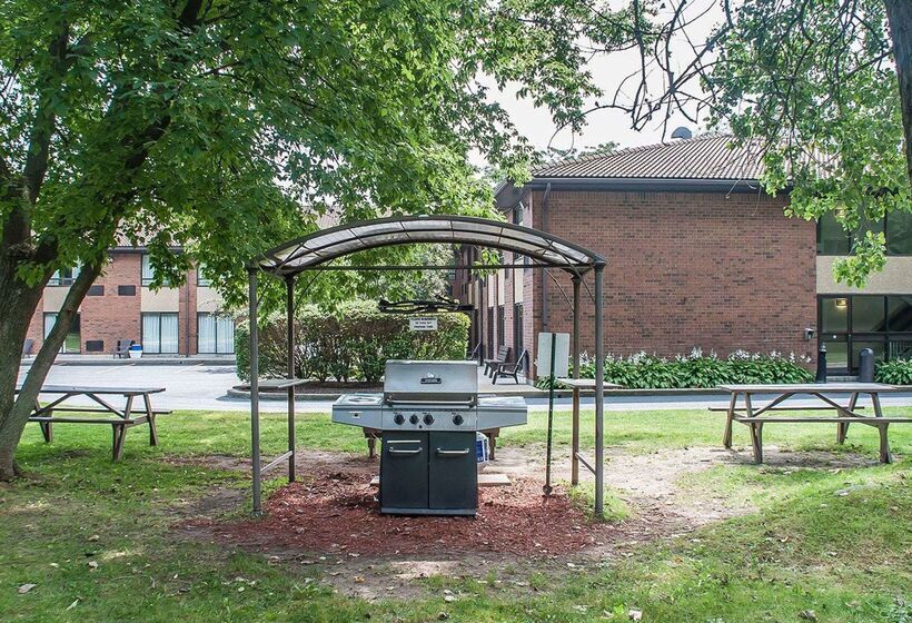 فندق Comfort Inn