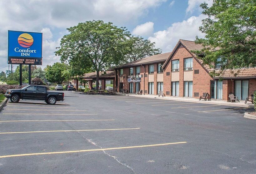 فندق Comfort Inn