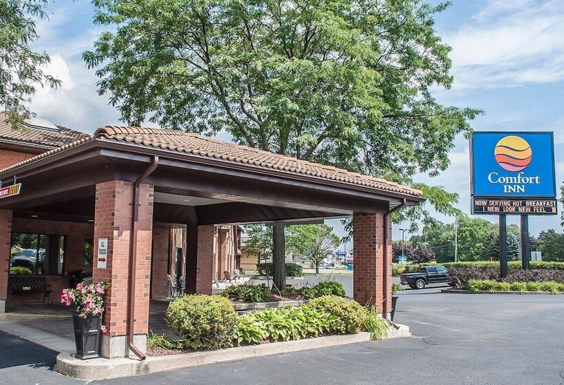 酒店 Comfort Inn