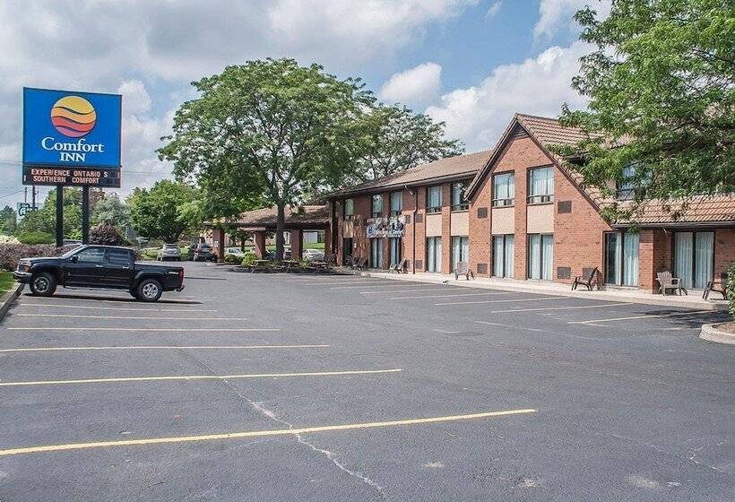 فندق Comfort Inn