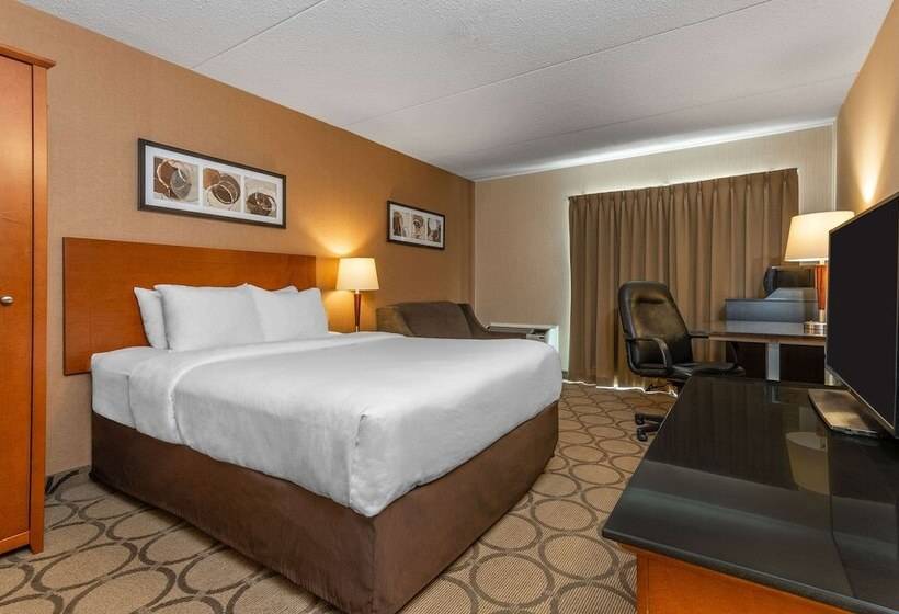 فندق Comfort Inn