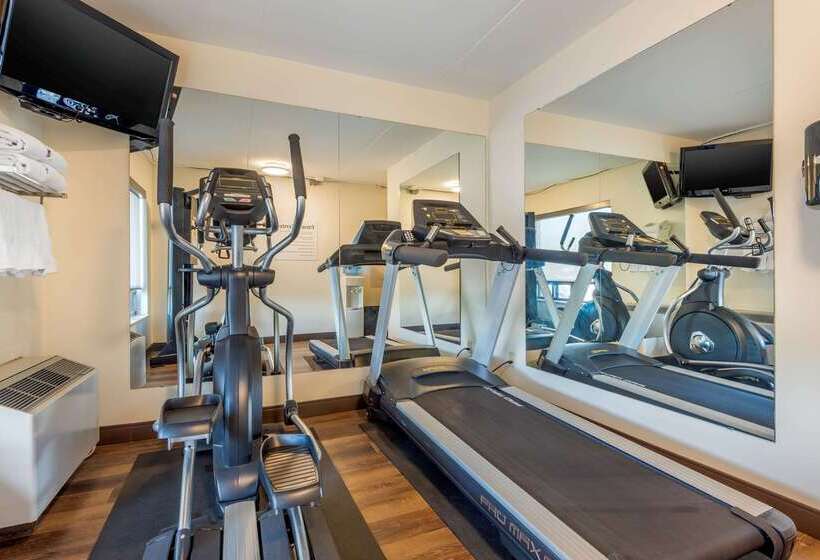 فندق Comfort Inn